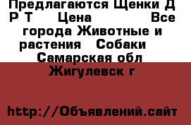 Предлагаются Щенки Д.Р.Т.  › Цена ­ 15 000 - Все города Животные и растения » Собаки   . Самарская обл.,Жигулевск г.